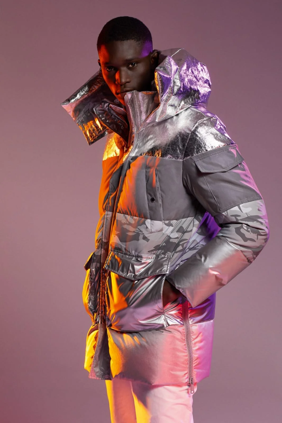 Paul and Shark — NICK WOOSTER